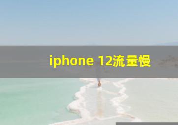 iphone 12流量慢